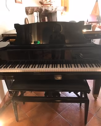 Pianoforte a Coda Marca Toyo