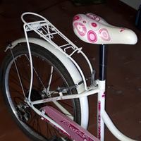 Bicicletta Alpina bike per bambina/ragazza