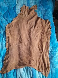 Pelle di agnello beige