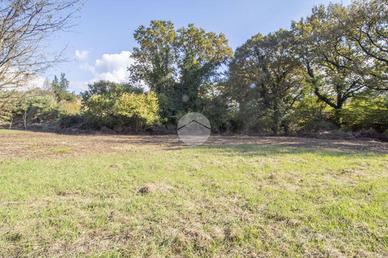 TER. AGRICOLO A PALOMBARA SABINA