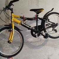 Bicicletta per ragazzi