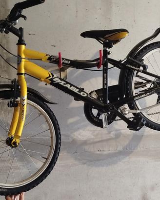 Bicicletta per ragazzi