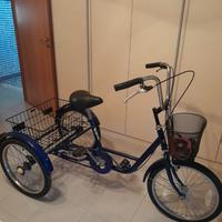 Bicicletta tre ruote