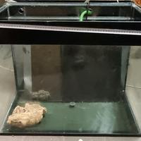 acquario/terrario grande