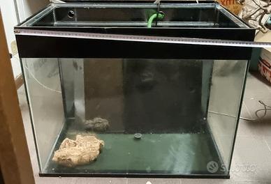 acquario/terrario grande