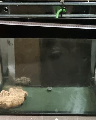 acquario/terrario grande