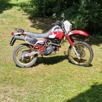 Yamaha XT 600 43F 1985 Iscritta ASI