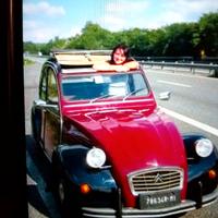Citroen 2cv - 1982