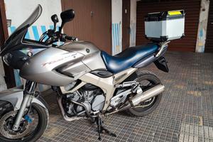 Moto Yamaha TDM 900 anno 2004 