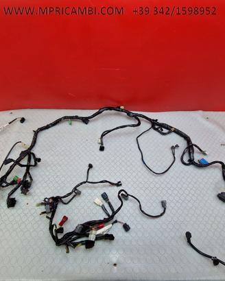 CABLAGGIO IMPIANTO HONDA HORNET 600 2007 2008 CB F