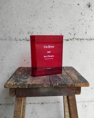 Vaso Libro in Acrilico – Decorazione Shabby Chic,