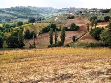 Terreno di 124220 m² a Montefalco