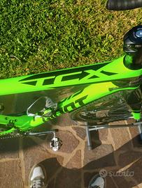 Giant TCX