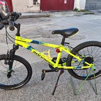 bici n.20 Marciante bimbo rokrider 