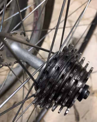 Campagnolo record