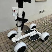 Golf Cart Scooter elettrico