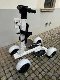 Golf Cart Scooter elettrico
