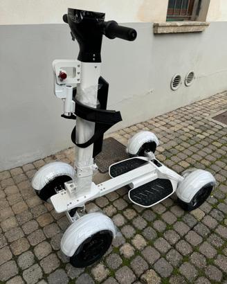 Golf Cart Scooter elettrico