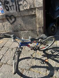Bici misura media