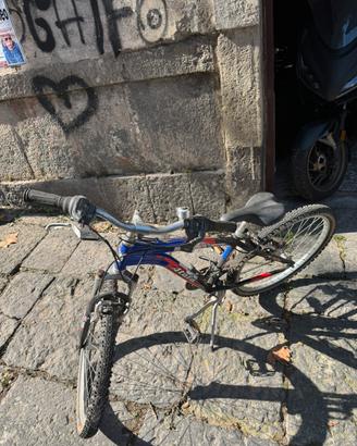 Bici misura media