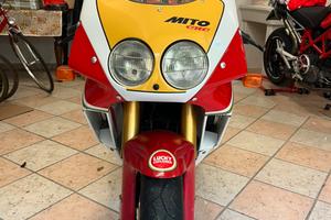 Mito Luchy Explorer 2 seie