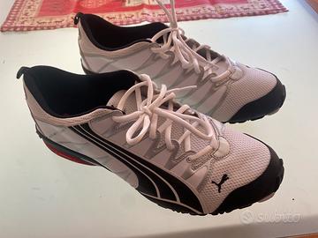 Puma ginnastica