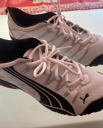 Puma ginnastica