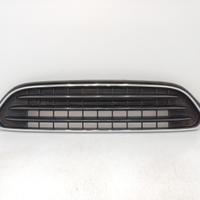 Griglia paraurti ant griglia radiatore mini countr