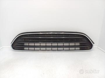 Griglia paraurti ant griglia radiatore mini countr