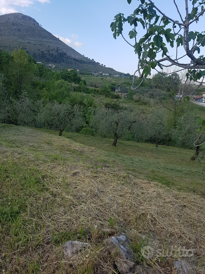 Rustici e terreni - Vista 2