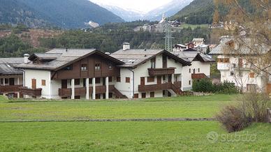 Trilocale in zona QC Terme Nuove Bormio