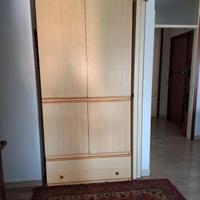 armadio 100×60×235 componibile