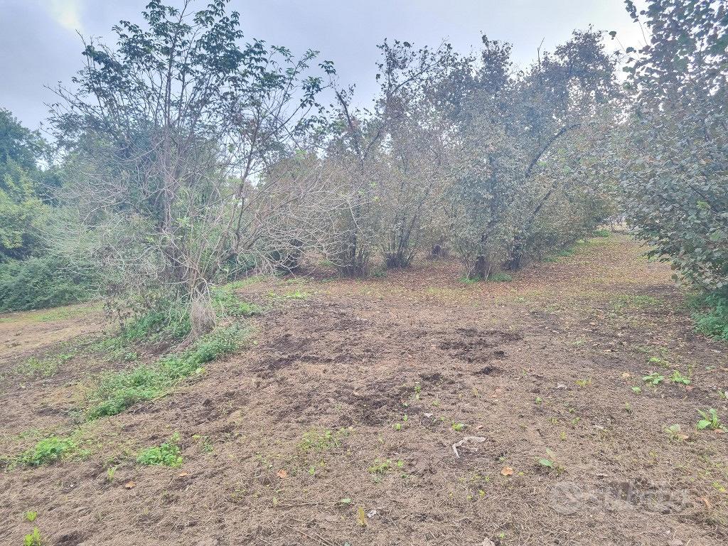 Terreno di mq.10.300 con 2 pozzi e 2 fronti strada - Vista 4