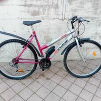 Mountain Bike Mirage