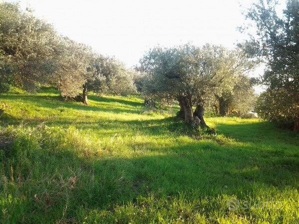Terreno Edificabile - Vista 3