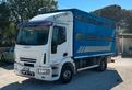 Iveco eurocargo 120e28 trasporto bestiame animali