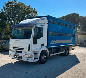 Iveco eurocargo 120e28 trasporto bestiame animali