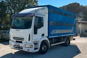 Iveco eurocargo 120e28 trasporto bestiame animali