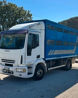 Iveco eurocargo 120e28 trasporto bestiame animali