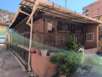 Indipendente Contesse