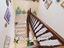 Immagine 11