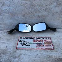 Coppia specchietti Sv650s 99 02