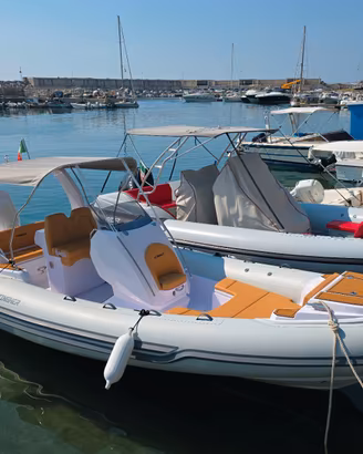 Gommone Stingher 22 GT + Suzuki DF200 -2025- 90ore