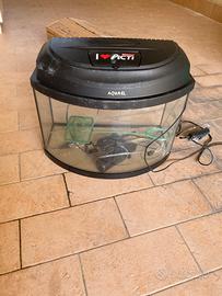 Acquario in vetro con top di plastica con lampada