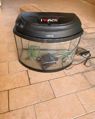 Acquario in vetro con top di plastica con lampada