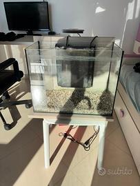 Acquario