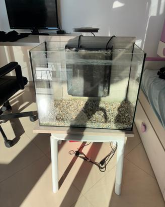 Acquario