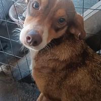 Luna & maya taglia piccola