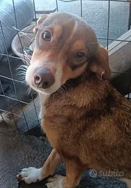 Luna & maya taglia piccola