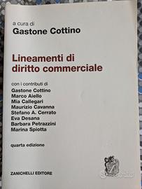 Libro LINEAMENTI DI DIRITTO Isbn 9788808620095